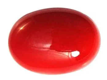প্রবাল Red Coral Mars Graha